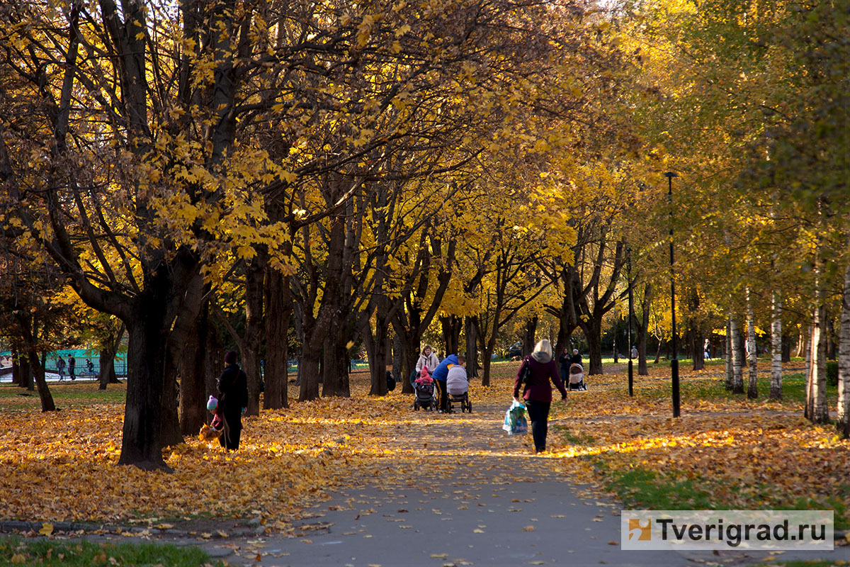 Осенняя новость. Выходные Золотая осень. В парк пришла Золотая осень. 1) Наступает Золотая осень приносящая дожди..